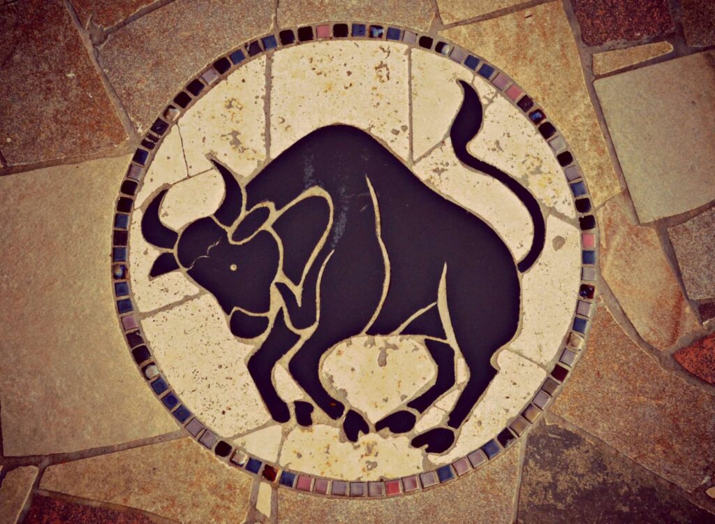 mosaici-silei-pavimenti-0003