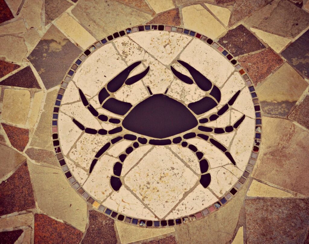 mosaici-silei-pavimenti-0007